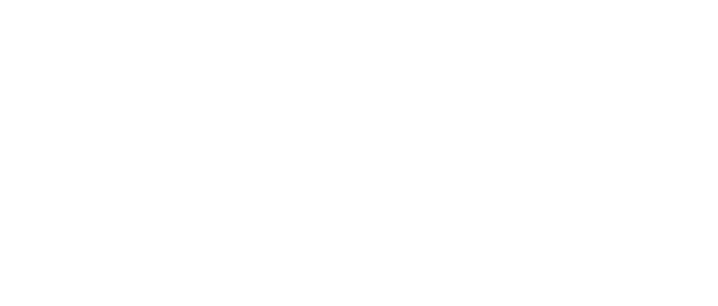 FIZIOPRO